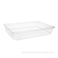 ABS Plastic Vacuum Forming Large Container